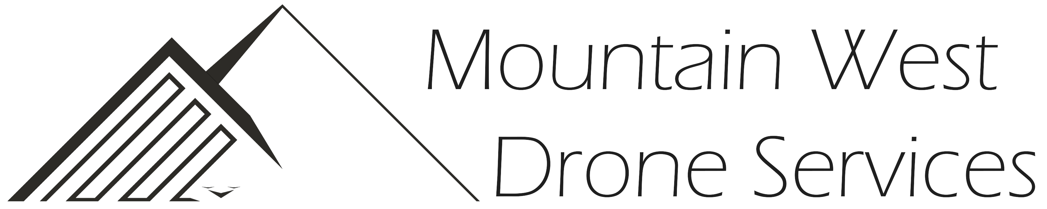 Mountain West Drone Services